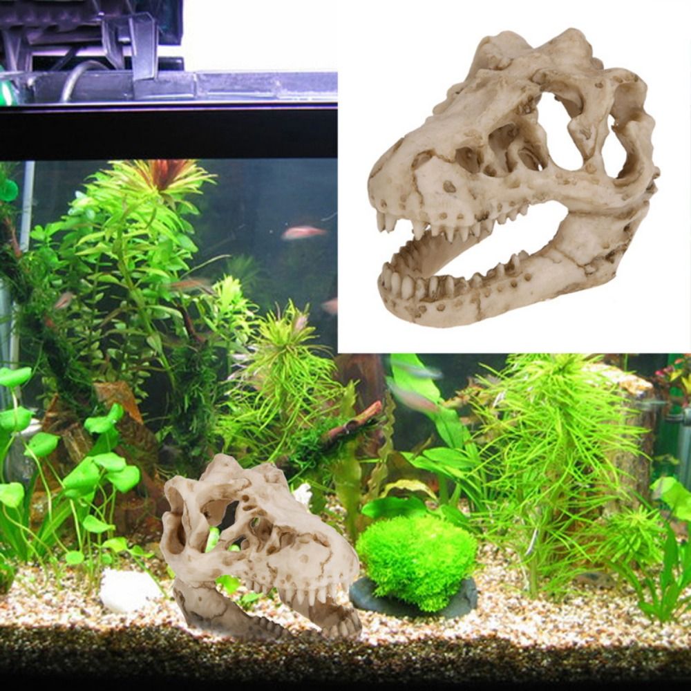 Aquarium Fish Hideout - Simulação criativa dinossauro crânio escape casa