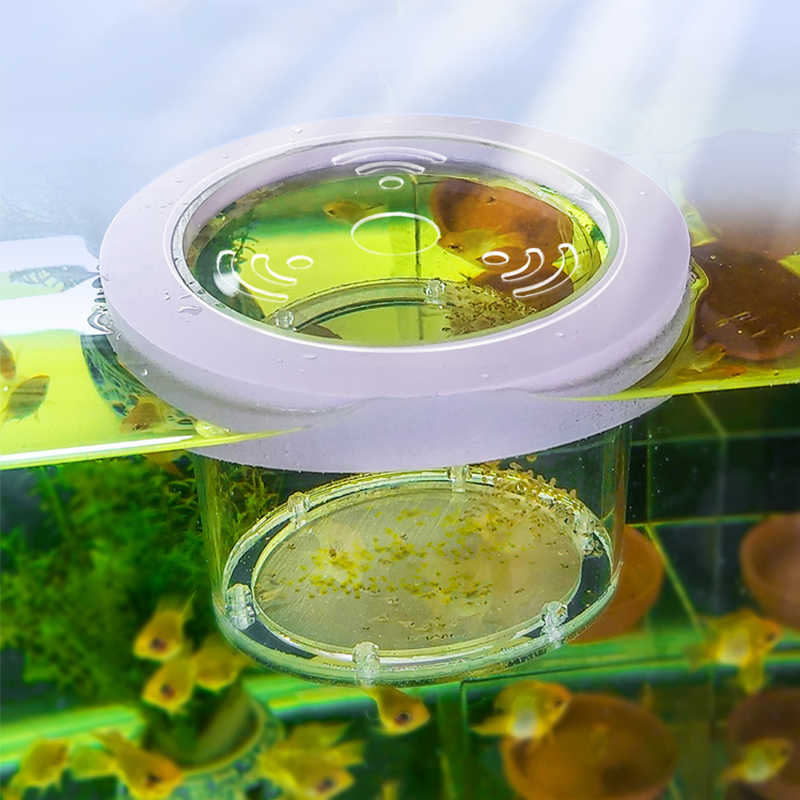 Aquarium Fish And Supplies - Caixa de isolamento de criação de