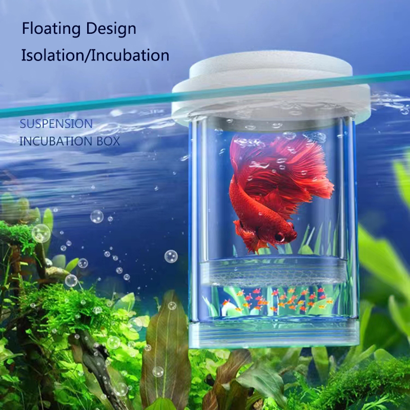 Aquarium Fish Feeder - Caixa de isolamento de criação de
