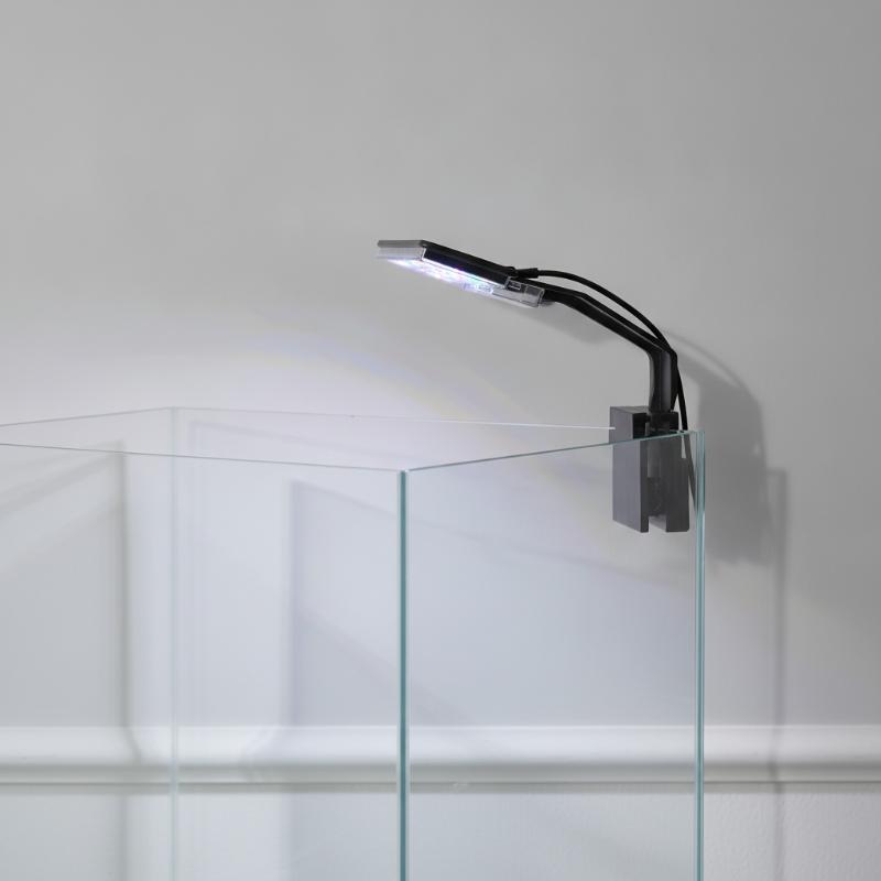 Aquarium Fish With Long Lifespan - Iluminação LED para Aquário Ultra-fina, à