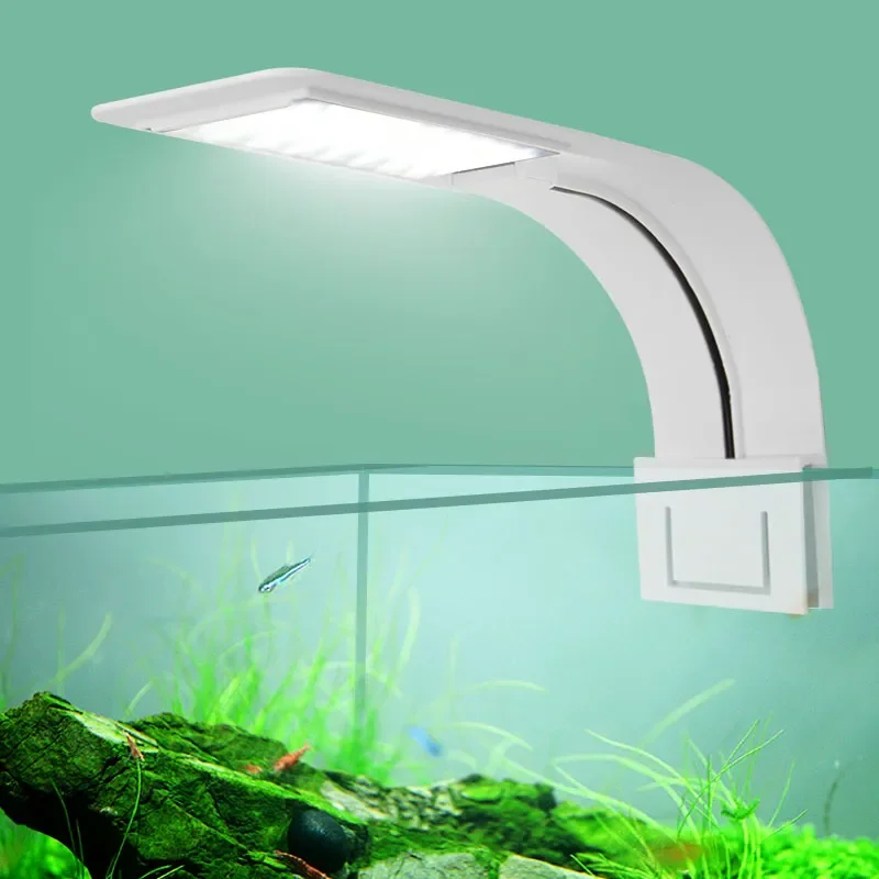 Fish In Aquarium Picture - Super Slim LED Aquarium Light, Plantas