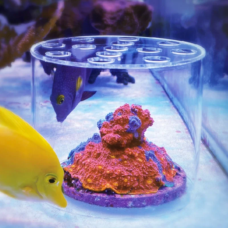 Aquarium Fish Feeder - Vastocean aquário acrílico coral alimentador capa