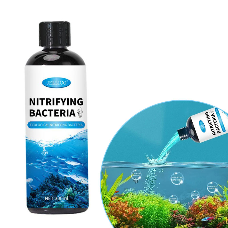 Aquarium Fish And Supplies - Limpadores de bactérias líquidas para tanque