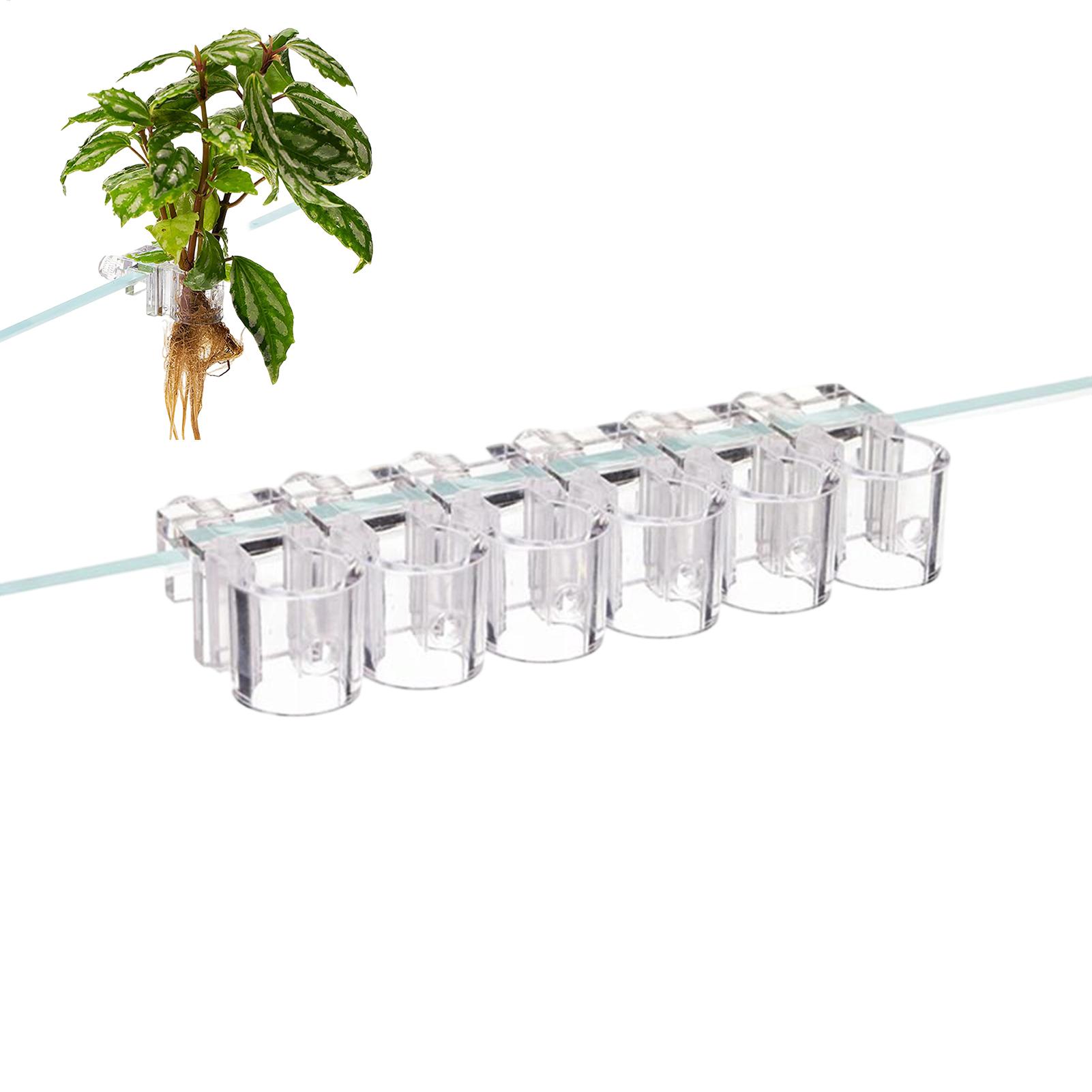 Aquarium Fish Feeder - Mini aquário para plantas, 6 peças,