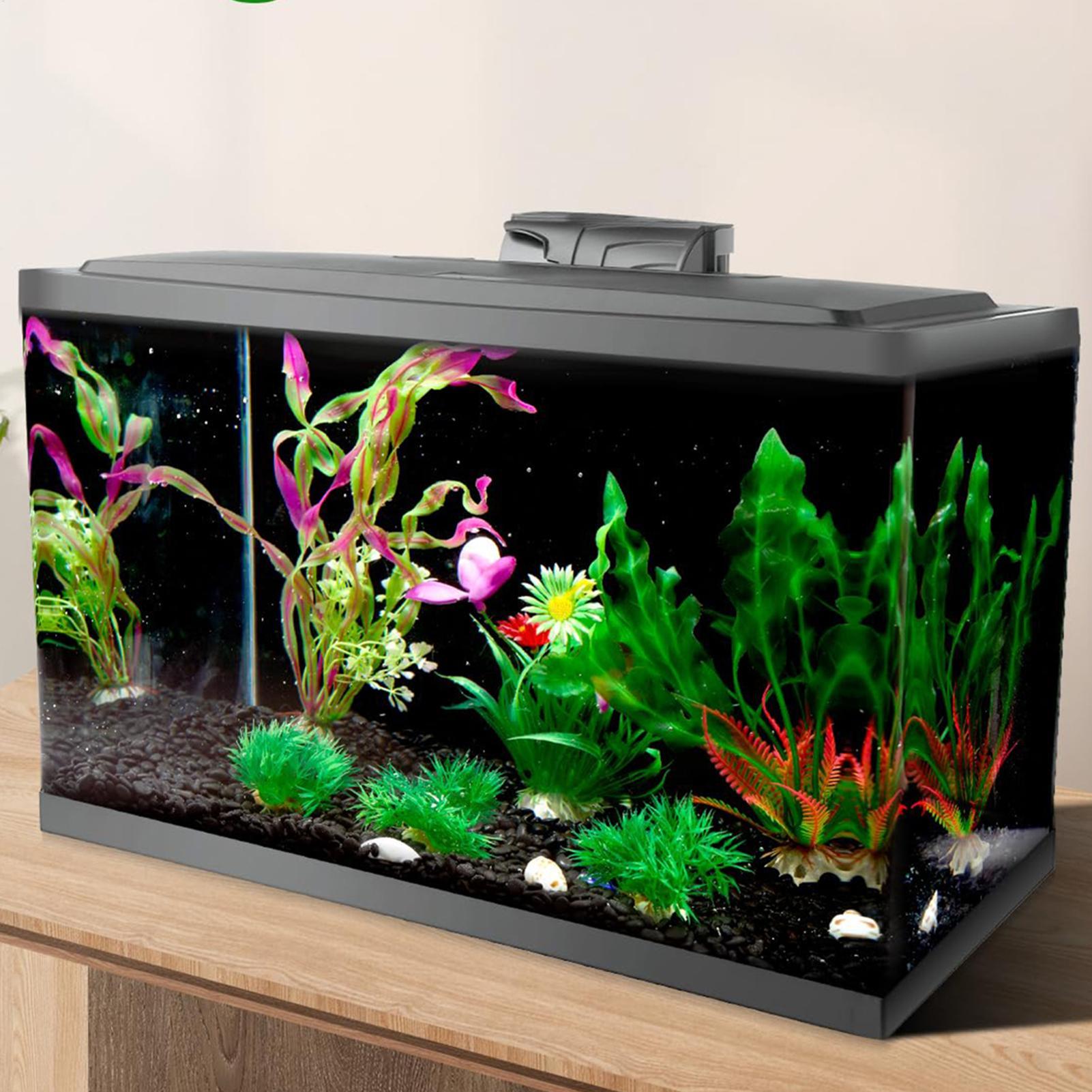Fish In Aquarium Picture - Papel de Parede Preto para Aquário,