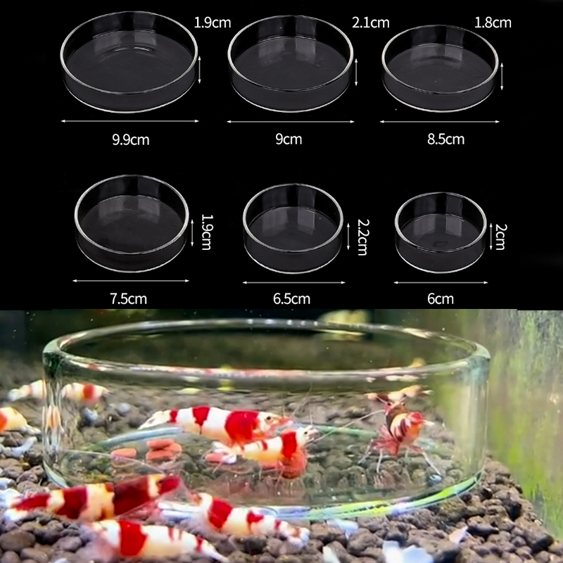 Aquarium Fish Feeder - Prato de alimentação de camarão, prato