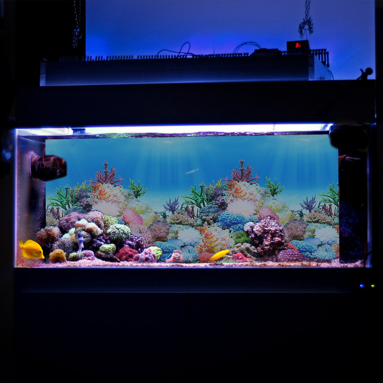 Fish In Aquarium Picture - Papel Decorativo para Aquário, Fundo DIY
