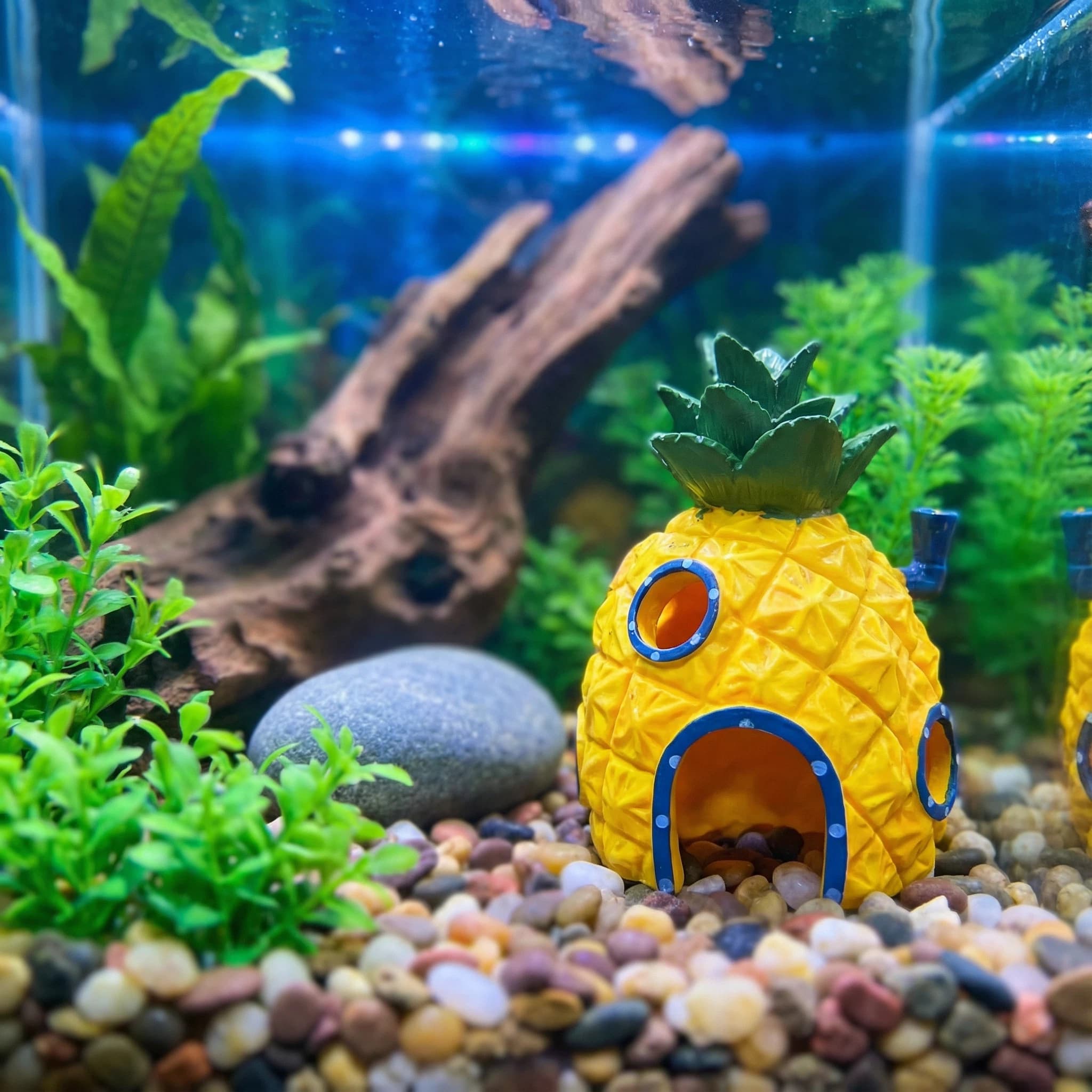Aquarium Fish Hideout - Decoração de Aquário Casa de Abacaxi,