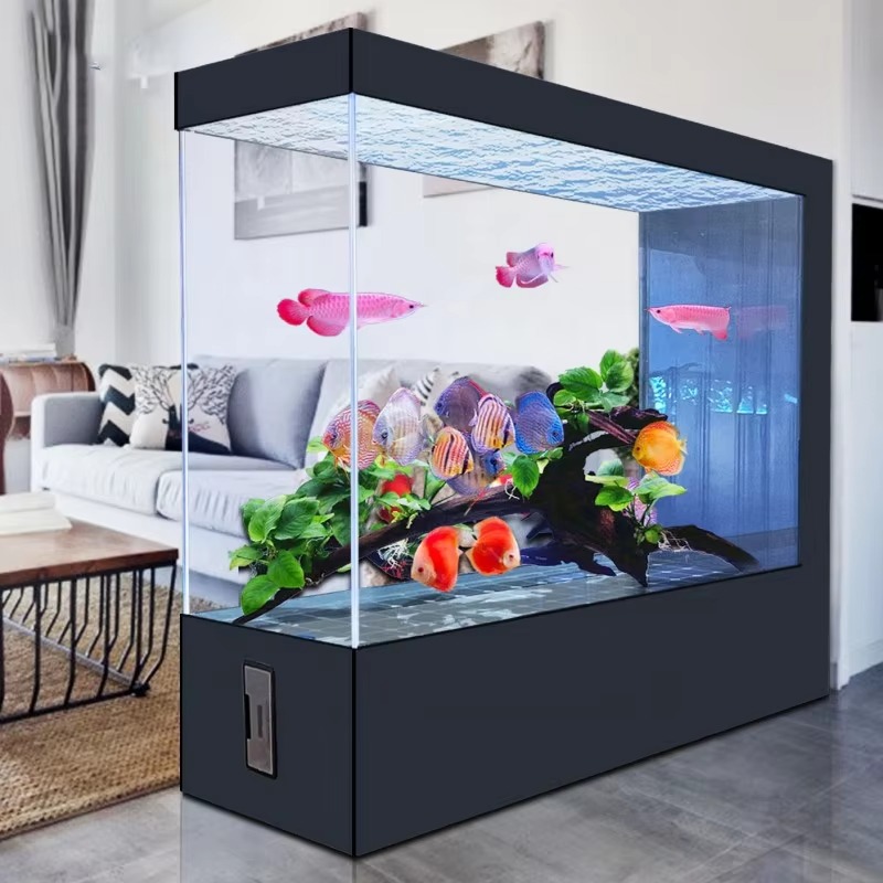 Aquarium Fish And Price - Aquário de Vidro Preto com Design
