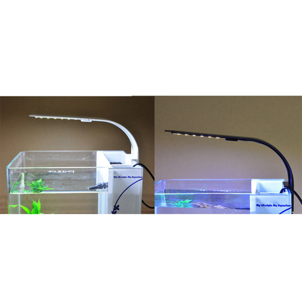 Aquarium Fish With Long Lifespan - Luz LED para Aquário: Crescimento de