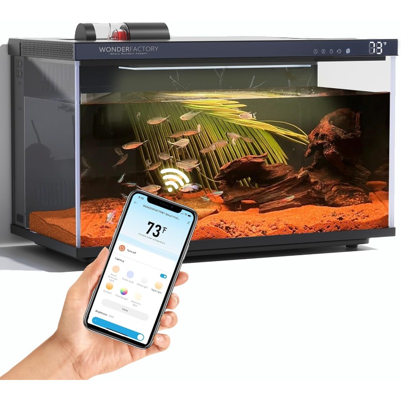 Aquarium Fish Feeder - Aquário Inteligente, Tanque de Peixes de