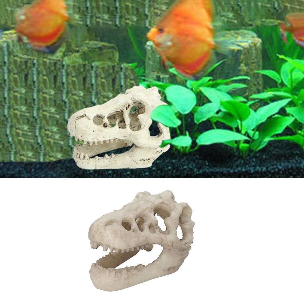 Simulação criativa dinossauro  - Aquarium Fish Hideout avaliação e preço