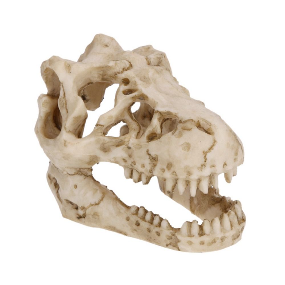 Simulação criativa dinossauro  - Aquarium Fish Hideout avaliação e preço