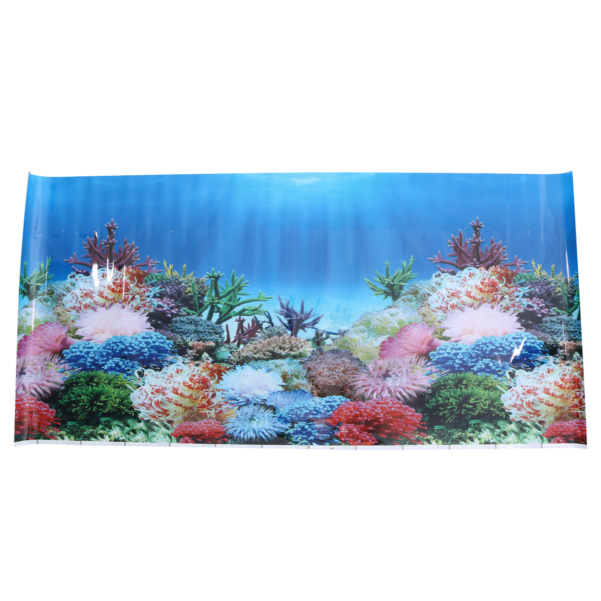 Papel de Parede 3D para Aquári - Fish In Aquarium Picture avaliação e preço