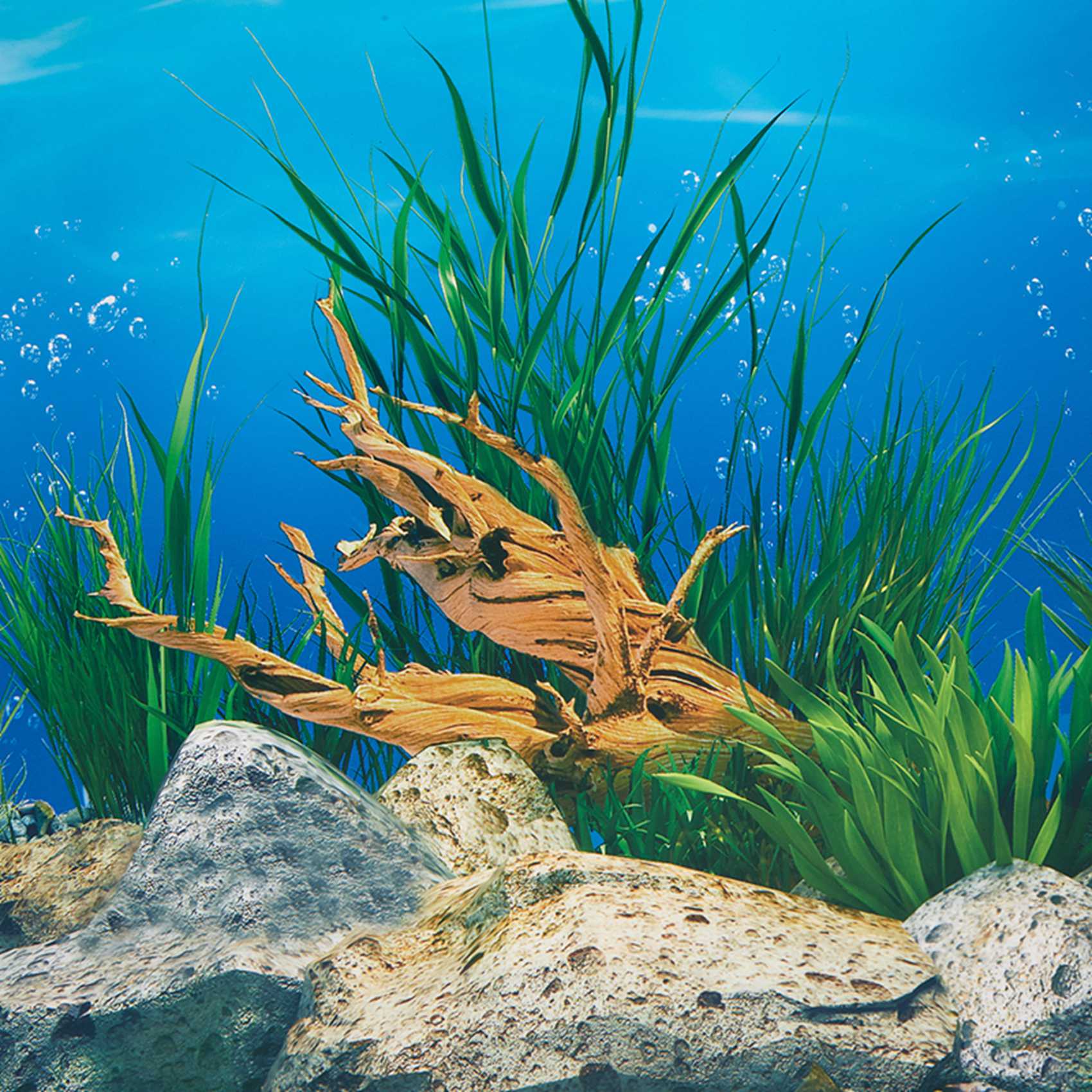 Papel de Fundo para Aquário AB - Fish In Aquarium Picture avaliação e preço