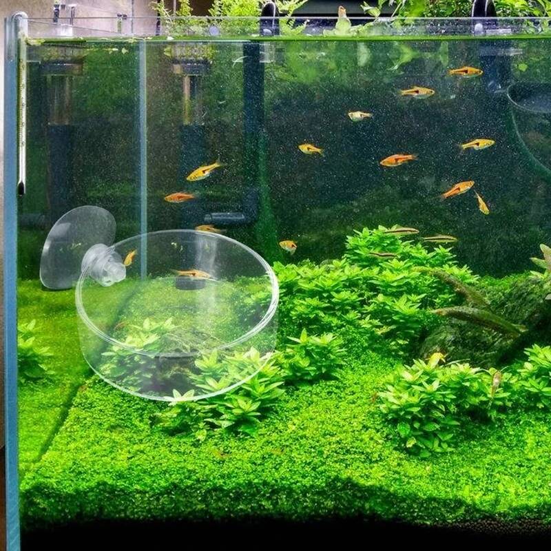 Mini prato de acrílico para al - Aquarium Fish And Supplies avaliação e preço