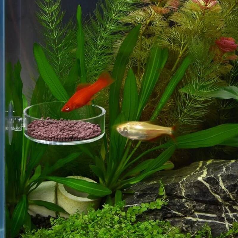 Mini prato de acrílico para al - Aquarium Fish And Supplies avaliação e preço