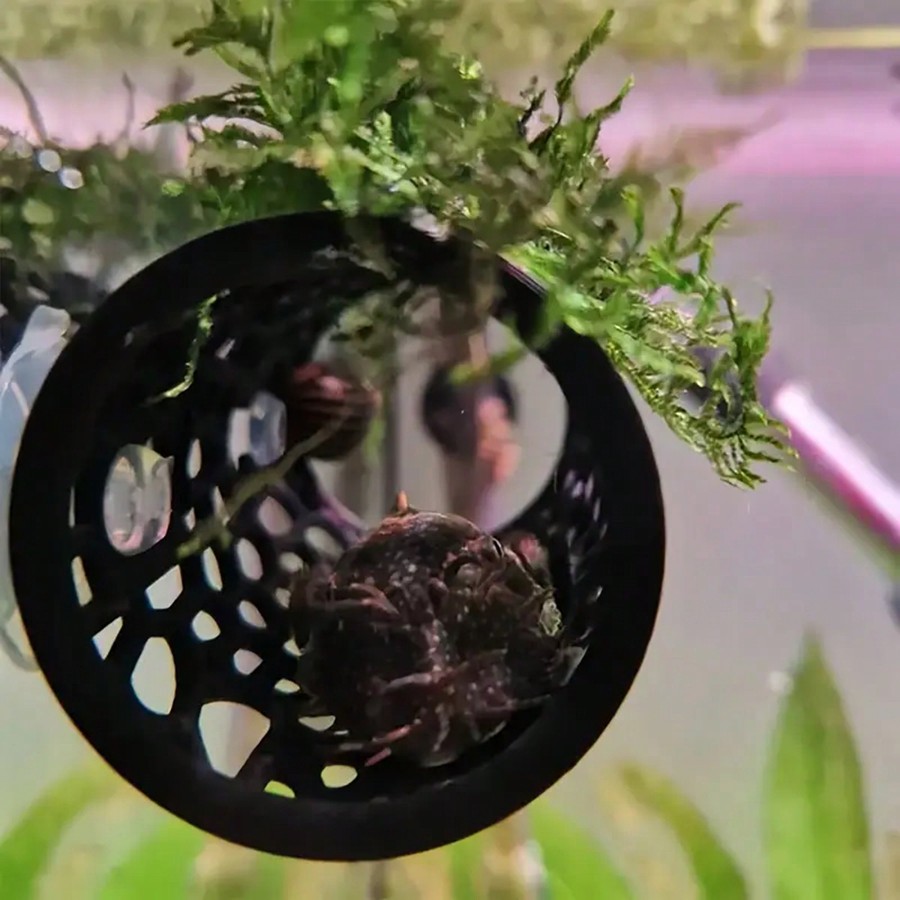 Tubo oco preto para esconderij - Aquarium Fish Hideout avaliação e preço