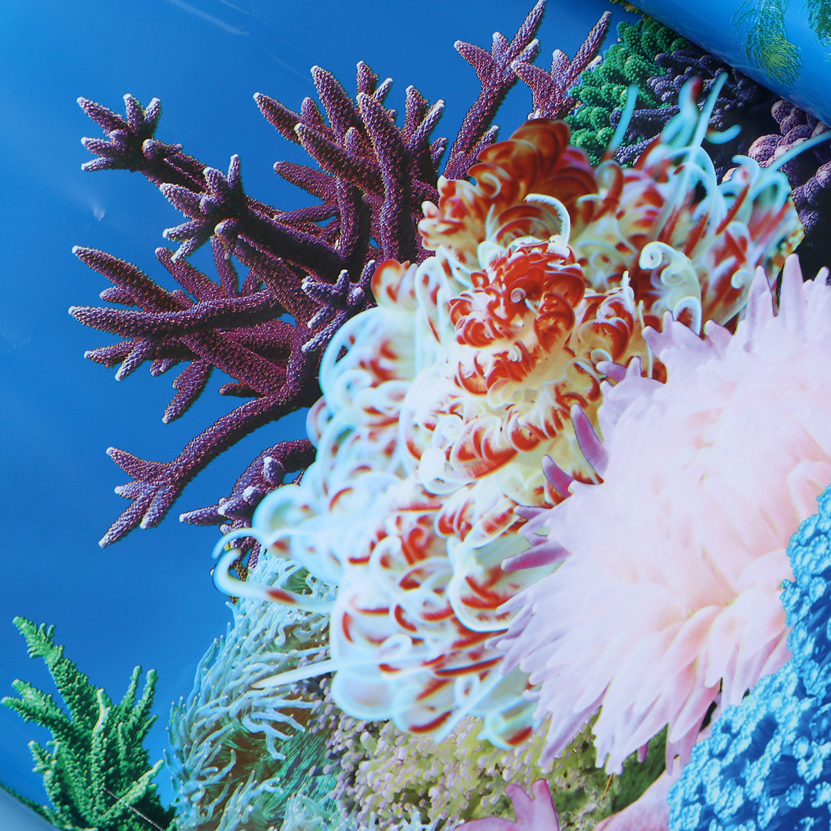 Papel de Parede 3D para Aquári - Fish In Aquarium Picture avaliação e preço