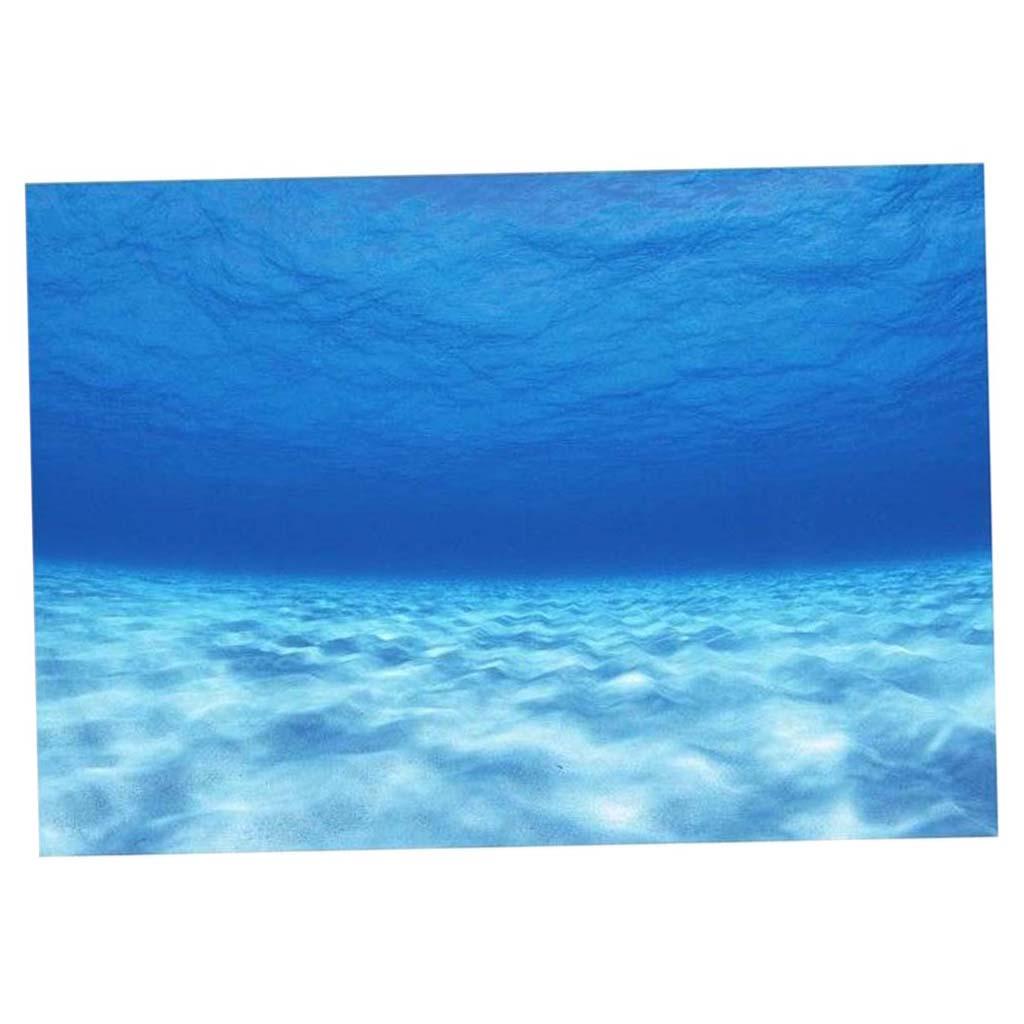 Imagem da decoração do fundo d - Fish In Aquarium Picture avaliação e preço
