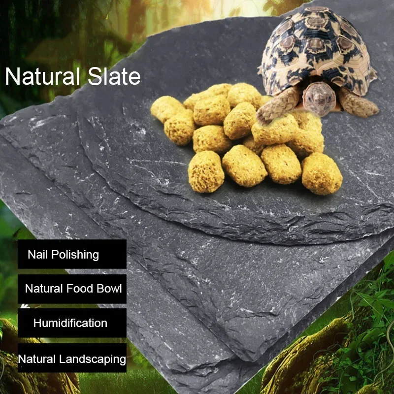 Natural Slate Aquarium Pet Rép - Aquarium Fish Feeder avaliação e preço