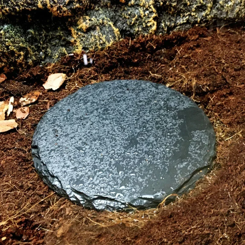 Natural Slate Aquarium Pet Rép - Aquarium Fish Feeder avaliação e preço