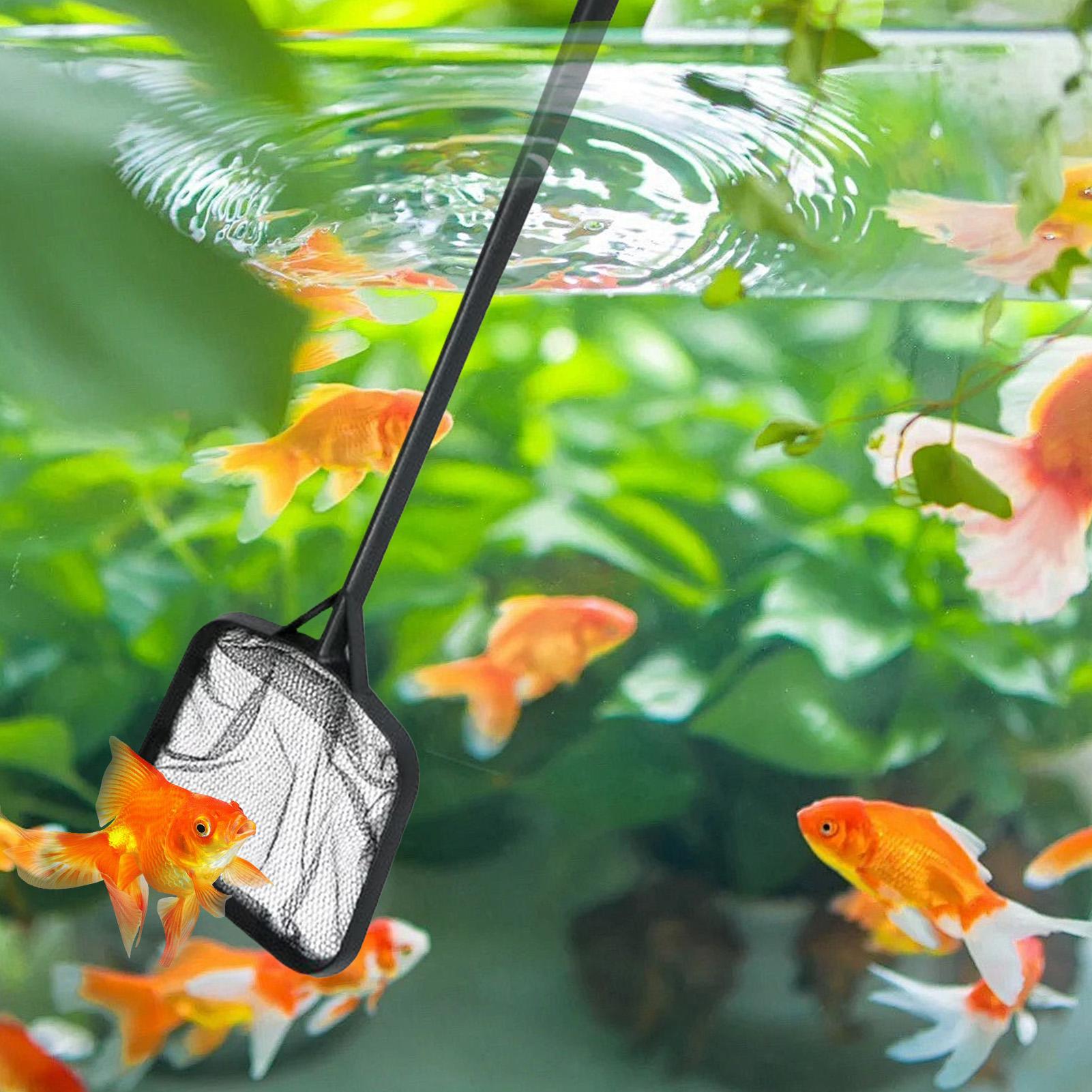 Redes para Limpeza de Piscinas - Cleaner Fish Aquarium avaliação e preço