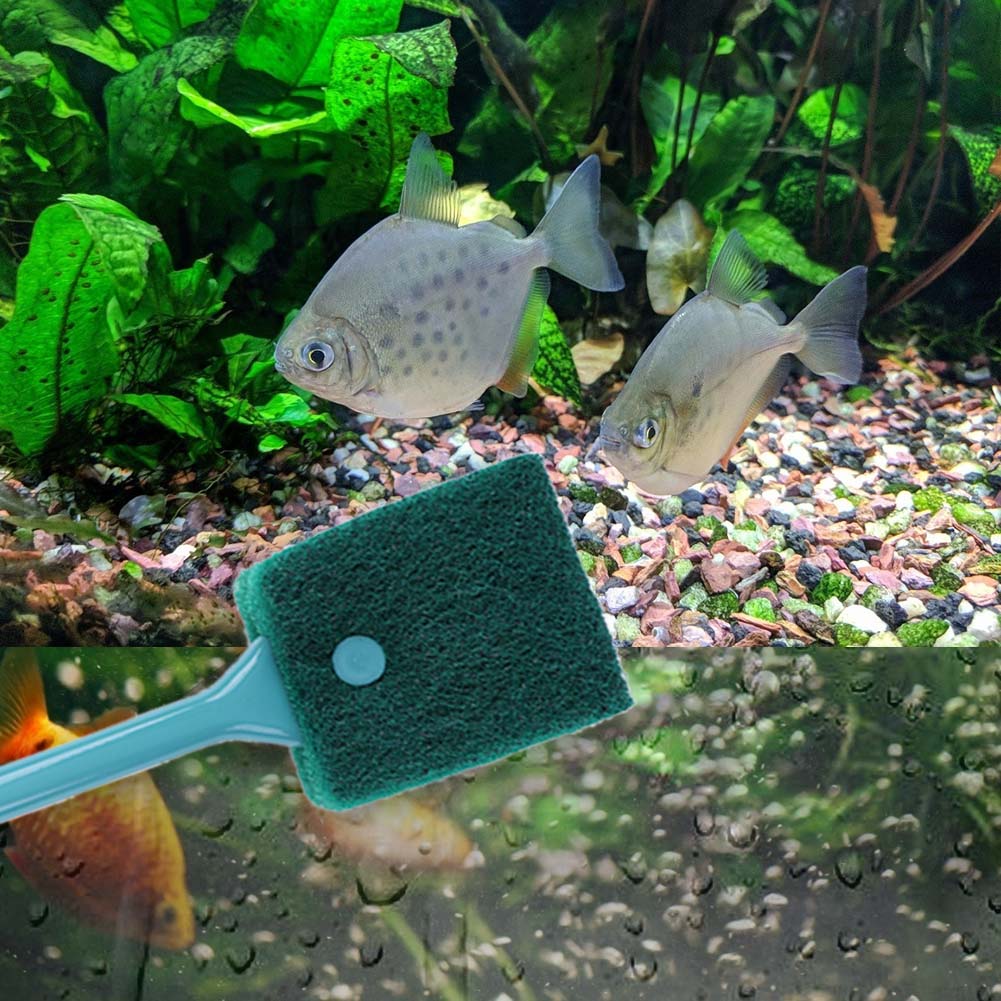 Limpador de esponja para aquár - Cleaner Fish Aquarium avaliação e preço