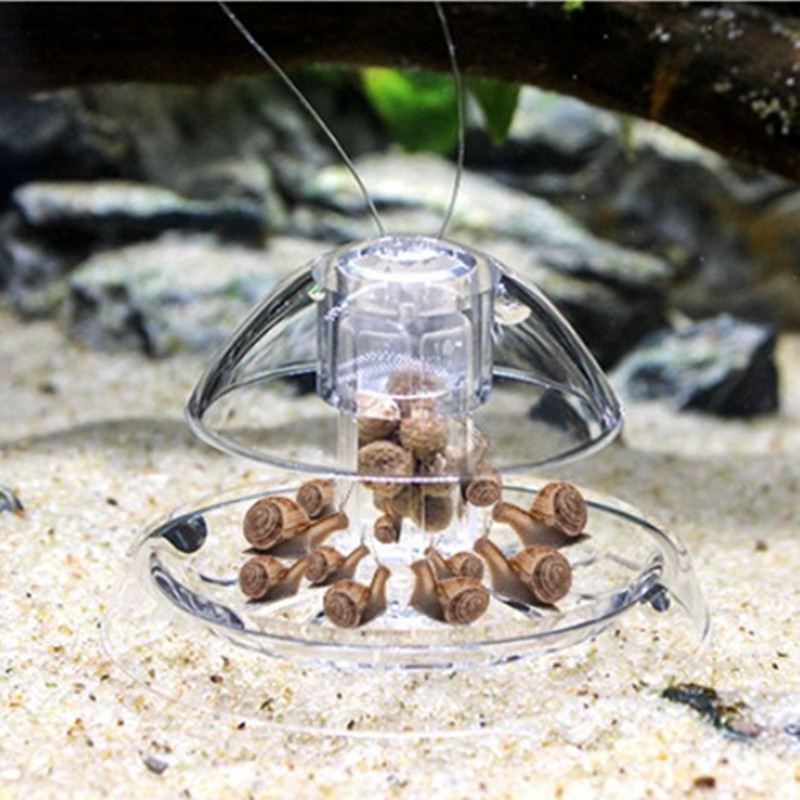 Caracol Armadilha Plástico Aqu - Cleaner Fish Aquarium avaliação e preço