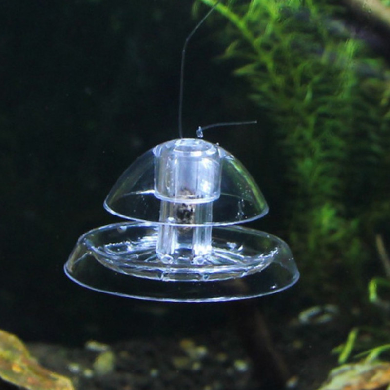 Caracol Armadilha Plástico Aqu - Cleaner Fish Aquarium avaliação e preço