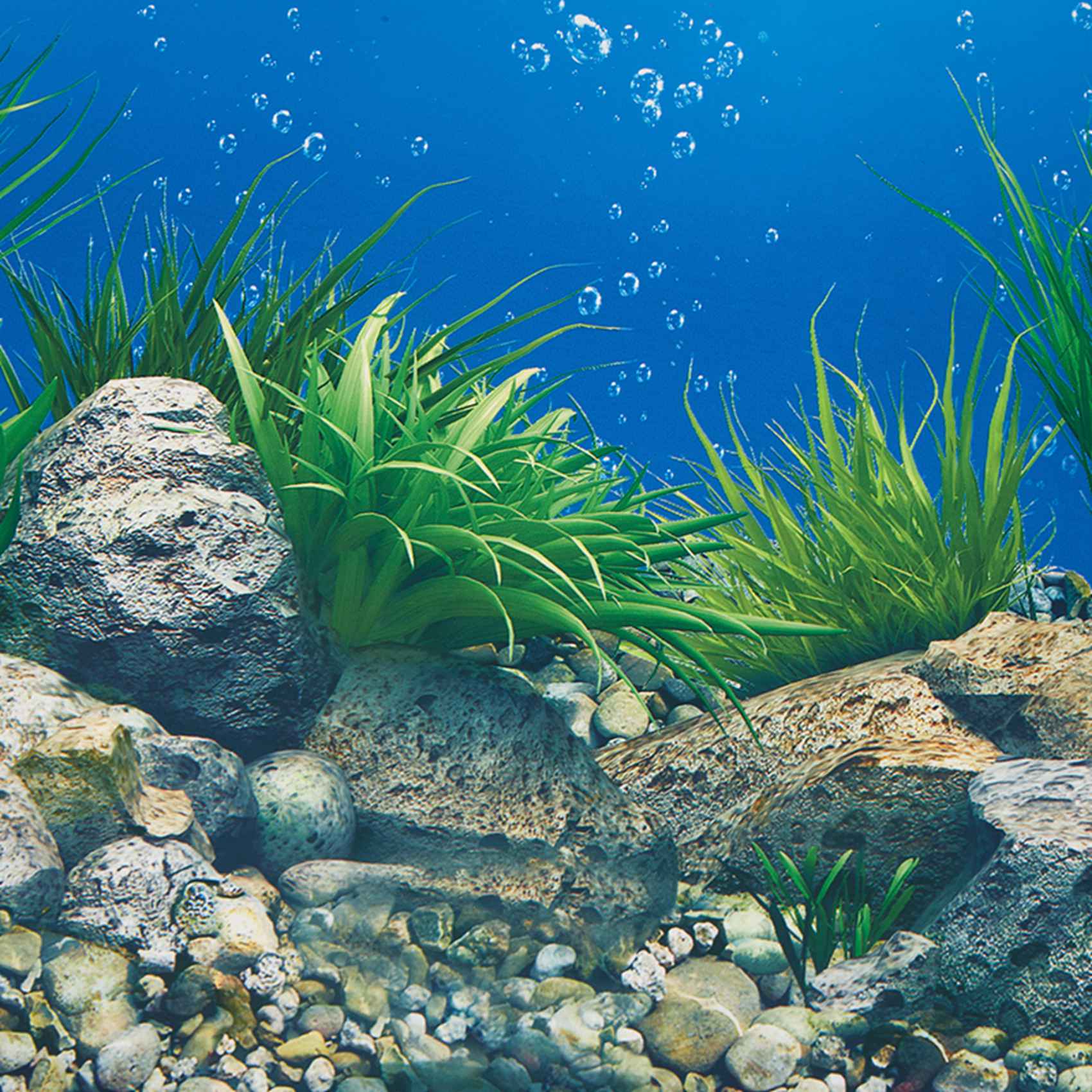 A77i papel de fundo de aquário - Fish In Aquarium Picture avaliação e preço