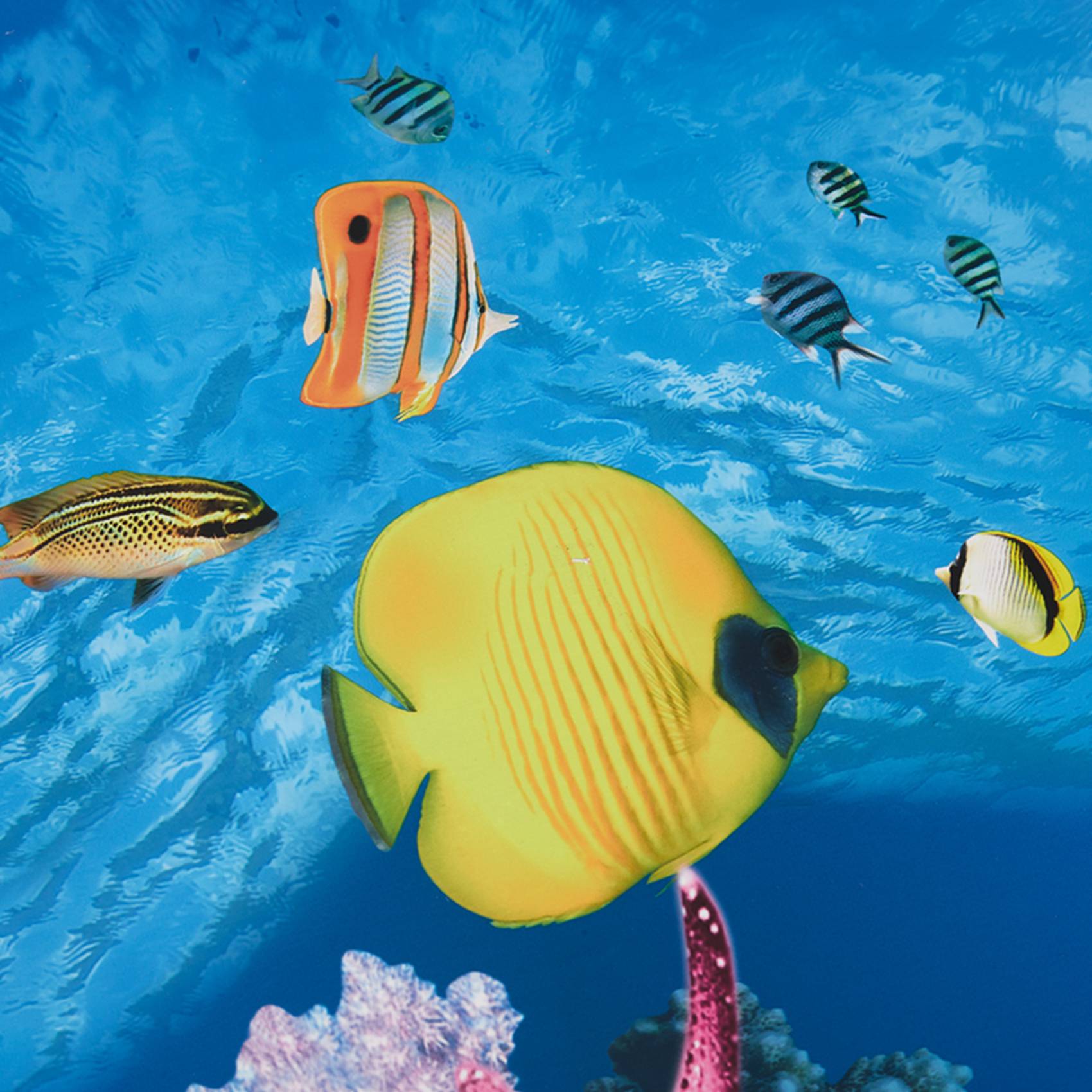 A77i papel de fundo de aquário - Fish In Aquarium Picture avaliação e preço