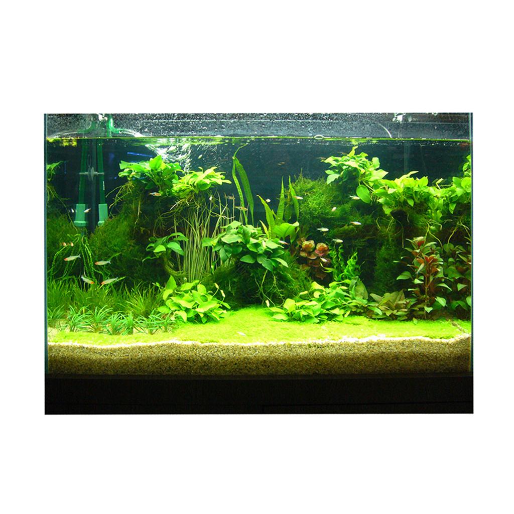 Adesivo de Fundo 3D para Aquár - Fish In Aquarium Picture avaliação e preço