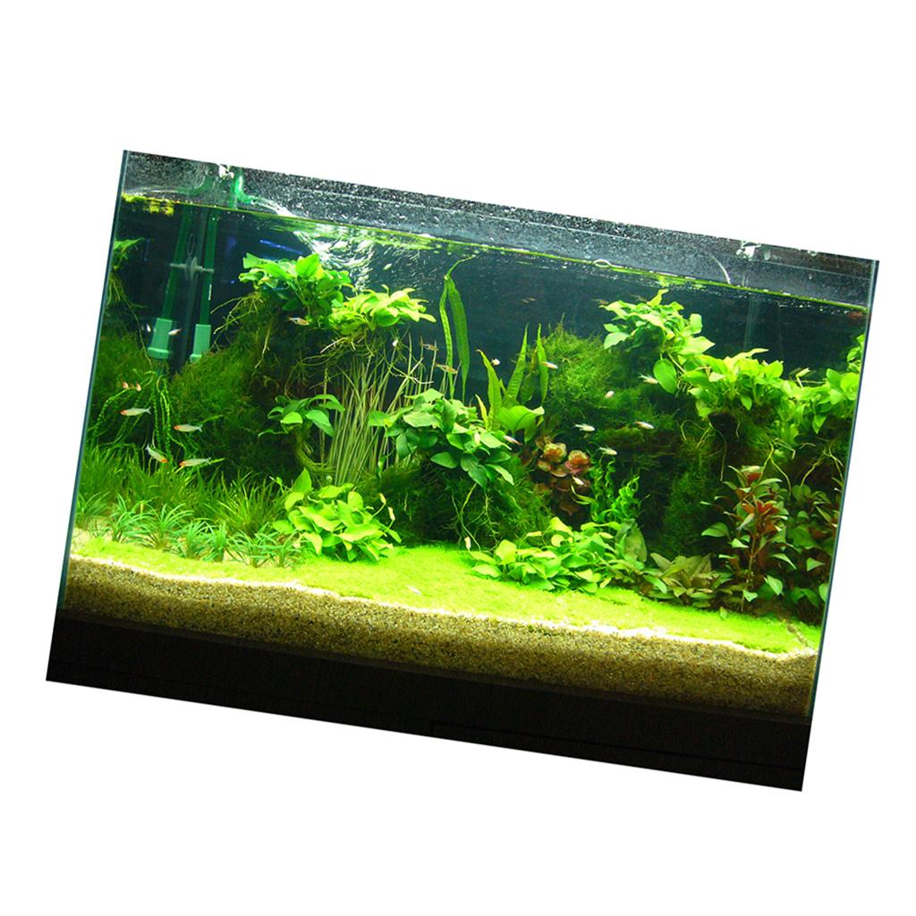 Adesivo de Fundo 3D para Aquár - Fish In Aquarium Picture avaliação e preço