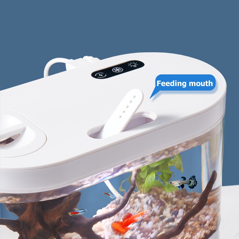 Mini Aquário de Mesa com Siste - Live Fish Aquarium avaliação e preço