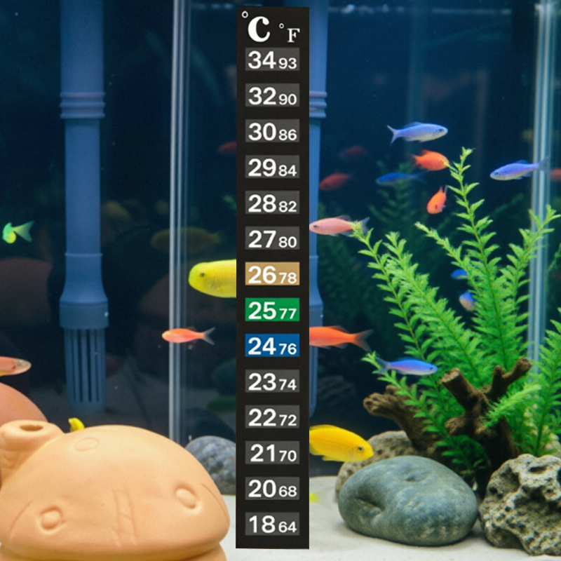 1/5 PCS Termômetro de Alta Pre - Aquarium Fish Colorful avaliação e preço