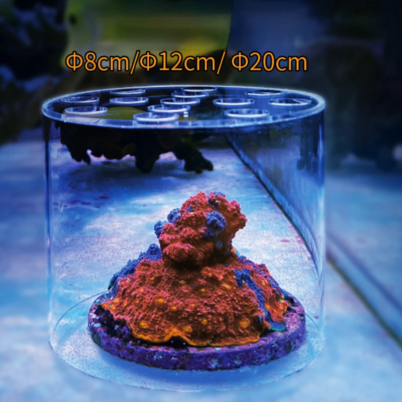 Vastocean aquário acrílico cor - Aquarium Fish Feeder avaliação e preço