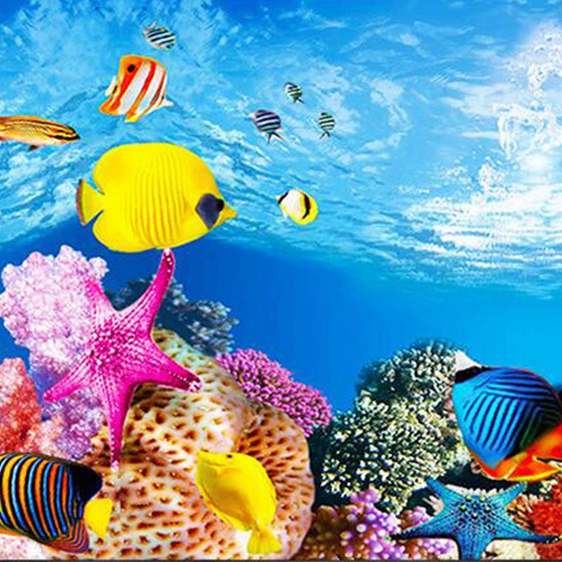 BAAU Papel de fundo de aquário - Fish In Aquarium Picture avaliação e preço