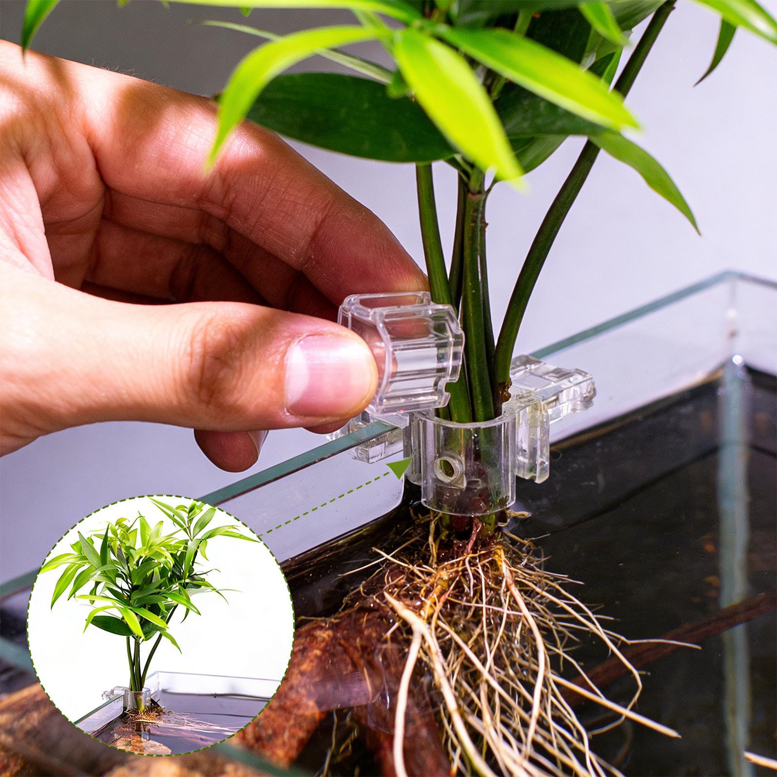 Mini aquário para plantas, 6 p - Aquarium Fish Feeder avaliação e preço