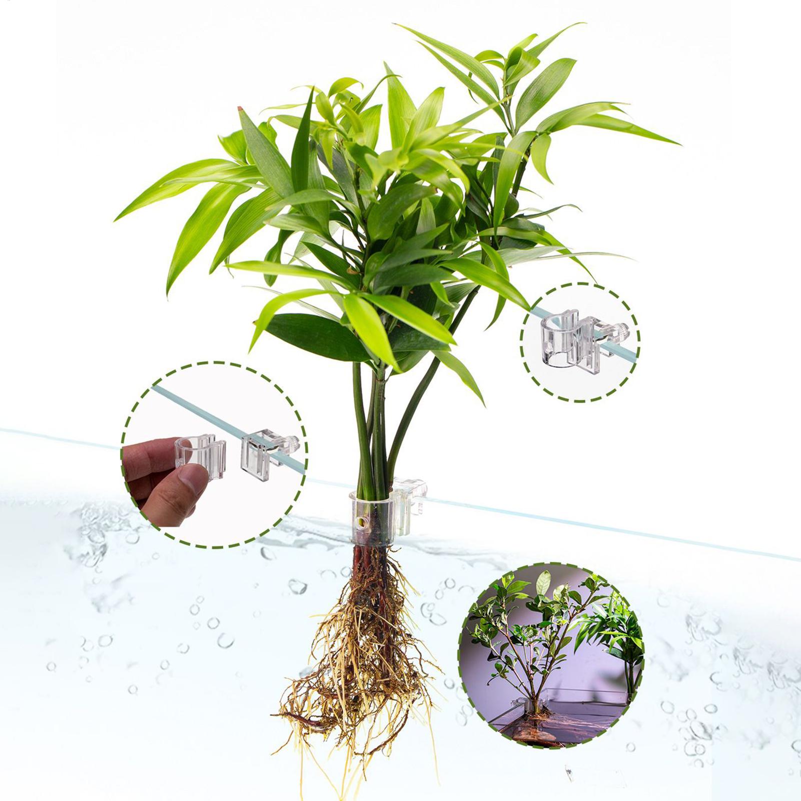 Mini aquário para plantas, 6 p - Aquarium Fish Feeder avaliação e preço