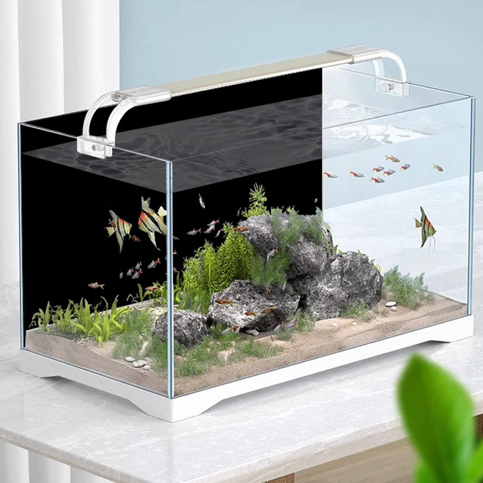 Papel de Parede Preto para Aqu - Fish In Aquarium Picture avaliação e preço