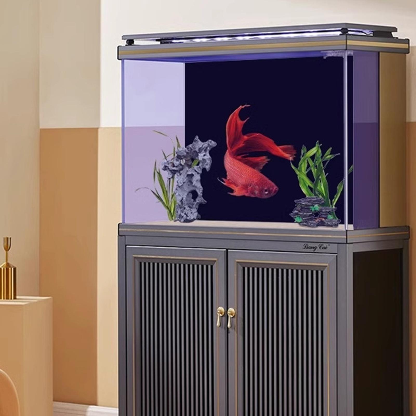 Papel de Parede Preto para Aqu - Fish In Aquarium Picture avaliação e preço