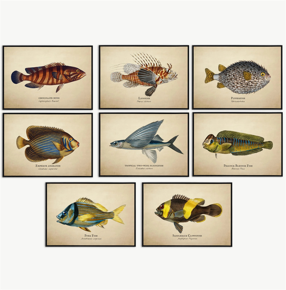 Fotos vintage peixes tropicais - Fish In Aquarium Picture avaliação e preço