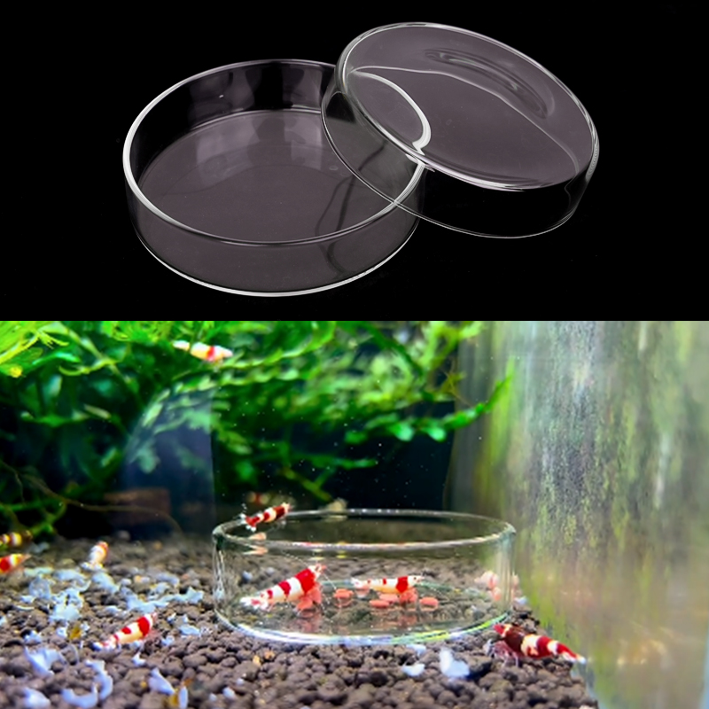 Prato de alimentação de camarã - Aquarium Fish Feeder avaliação e preço