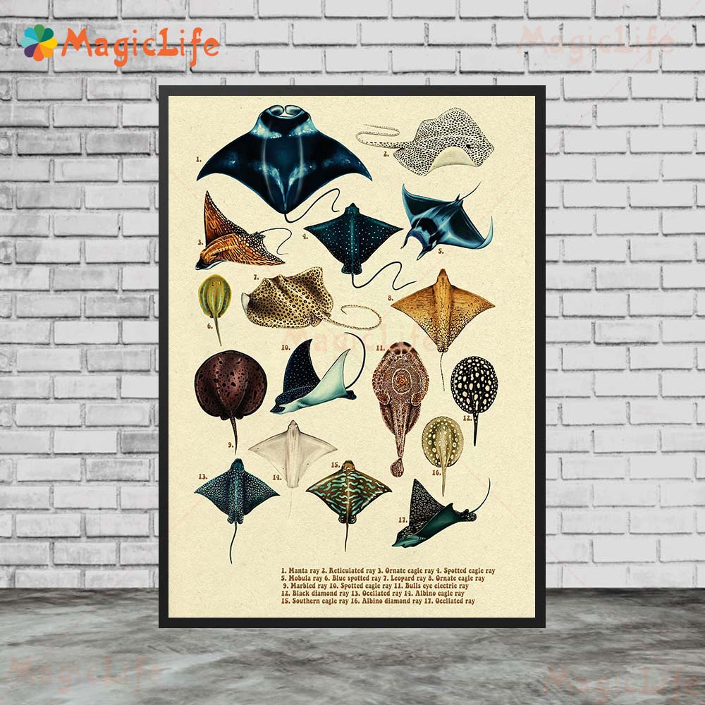 Cartaz de parede do estilo nór - Fish In Aquarium Picture avaliação e preço