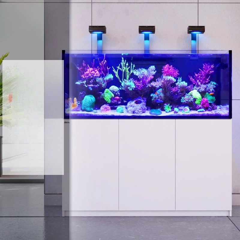 2026 Novo Aquário Profissional - Aquarium Fish And Price avaliação e preço
