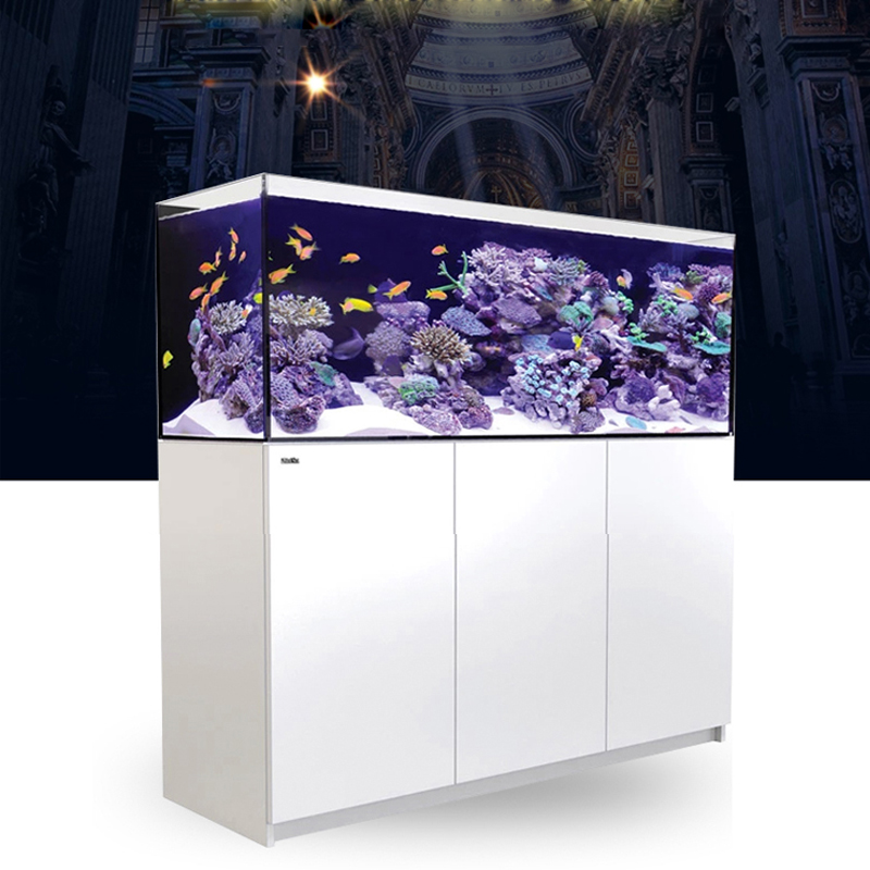 2026 Novo Aquário Profissional - Aquarium Fish And Price avaliação e preço