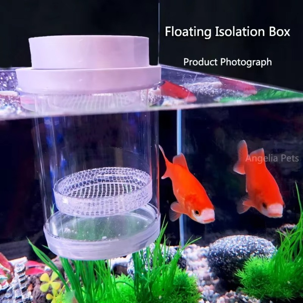 Plástico flutuante caixa de is - Aquarium Fish Feeder avaliação e preço