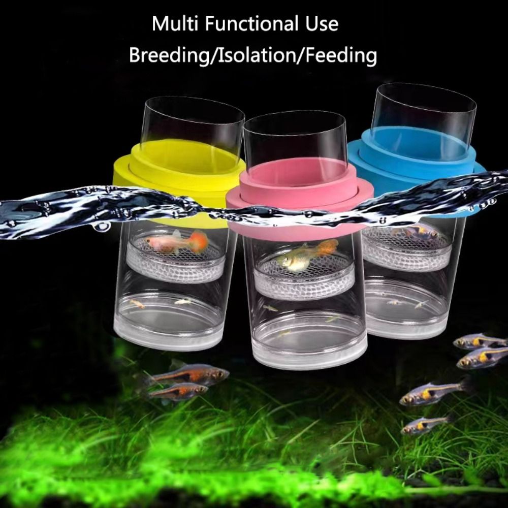 Plástico flutuante caixa de is - Aquarium Fish Feeder avaliação e preço