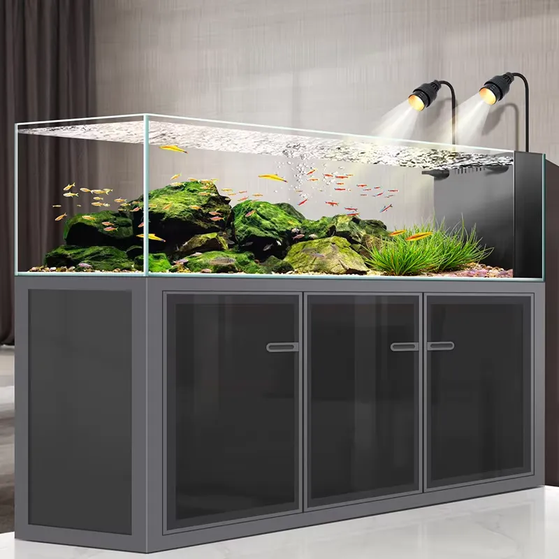 Preço de Fábrica: Aquário Reta - Aquarium Fish And Price avaliação e preço